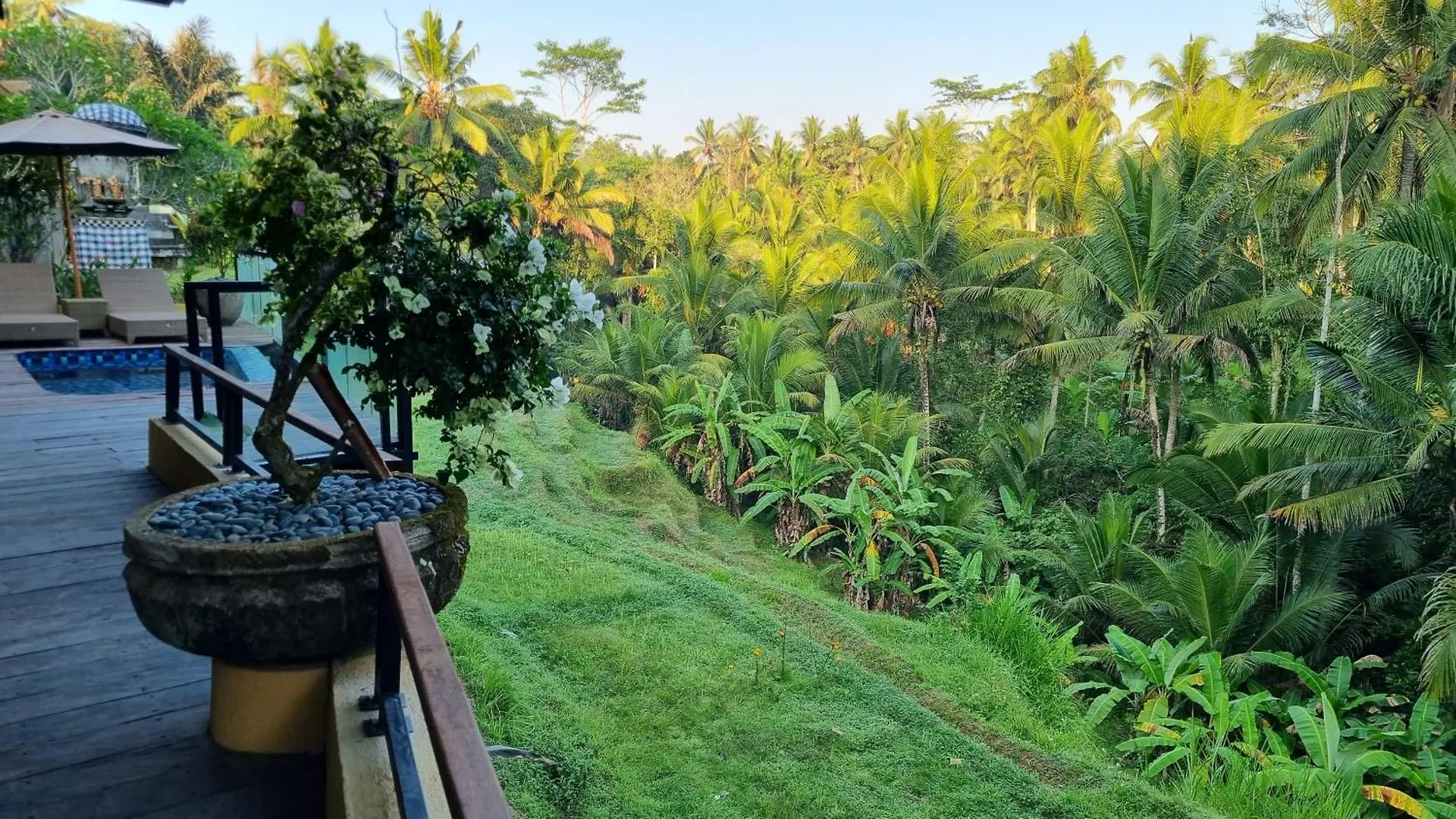 Puri Sebali Resort Ubud  5*, Ubud (Bali)