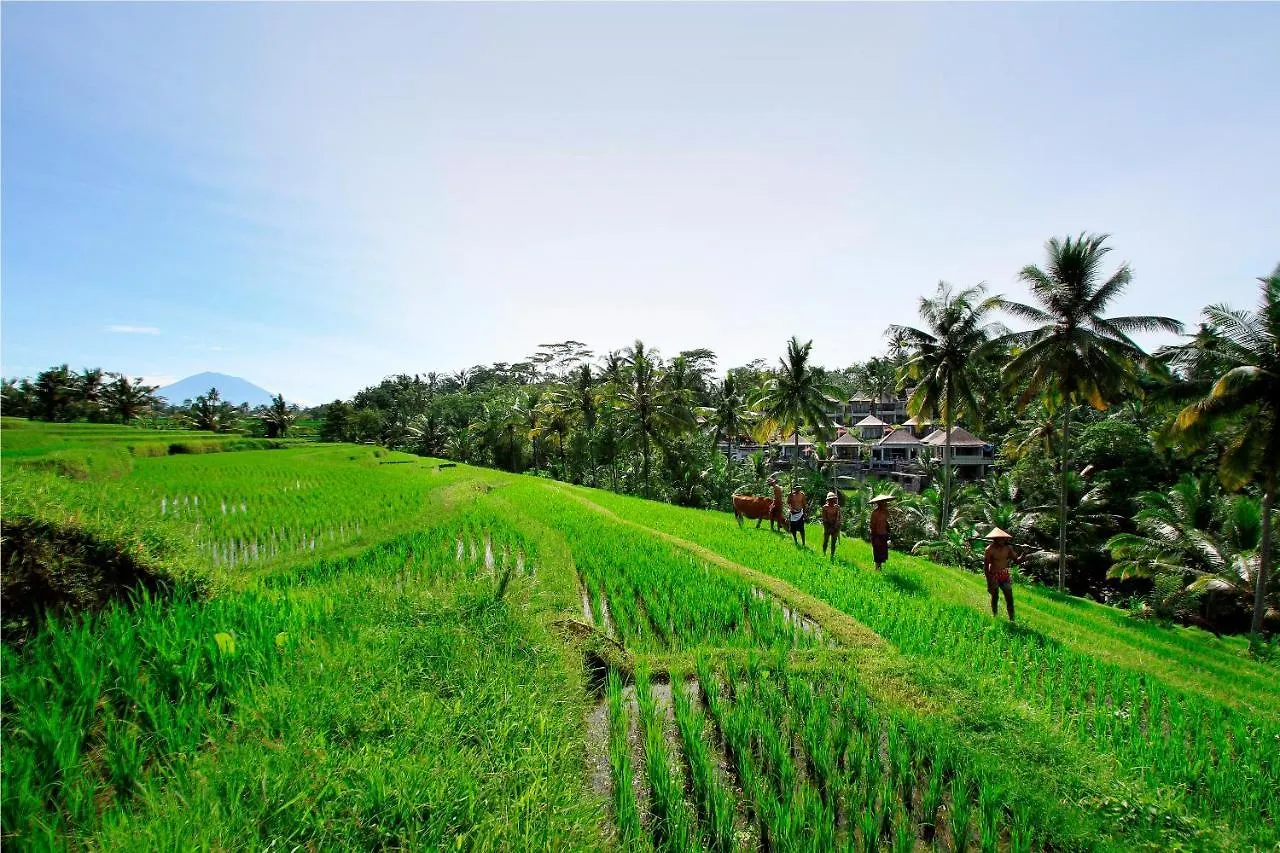 Puri Sebali Resort Ubud